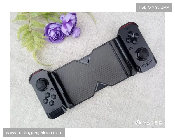 db真人百乐家怎么样值得信赖吗，平台安全性和游戏体验全面解析